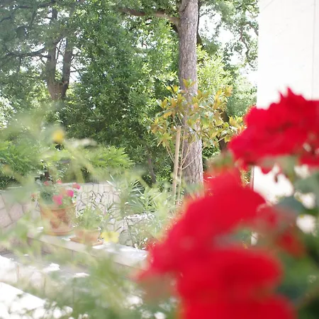 Dagmar - Exclusive Apart-hotel 5*