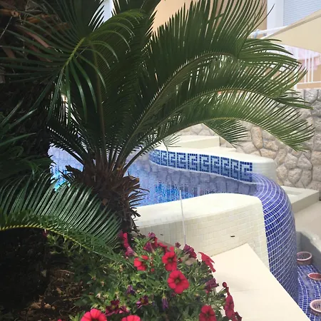 Aparthotel Dagmar - Exclusive
