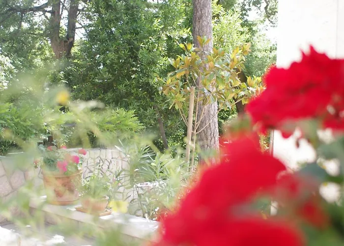 Dagmar - Exclusive Aparthotel 5*